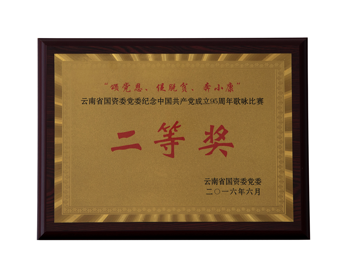 云南省國(guó)資委黨委慶祝中國(guó)共產(chǎn)黨成立95周年歌詠比賽二等獎(jiǎng)