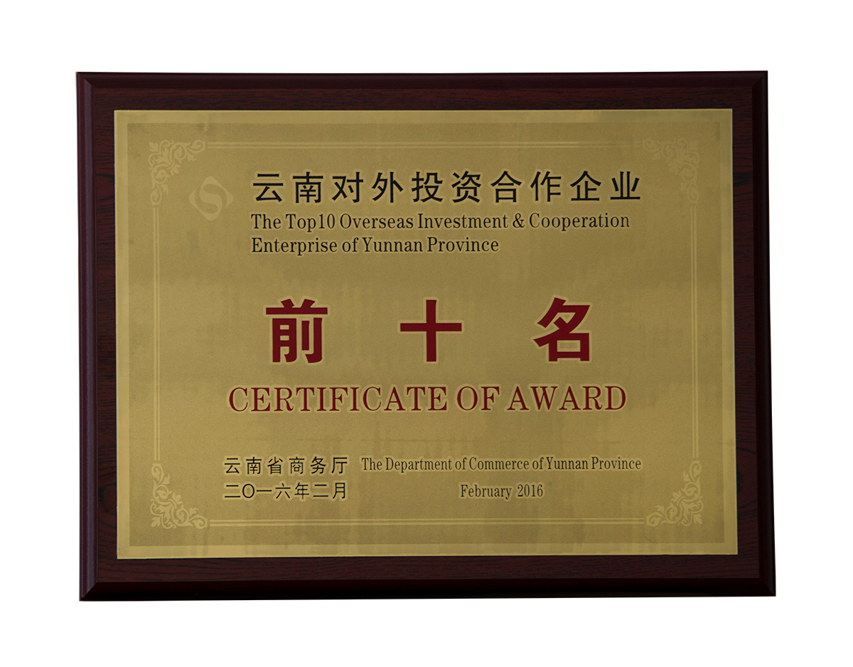云南對外投資合作企業(yè)前十名