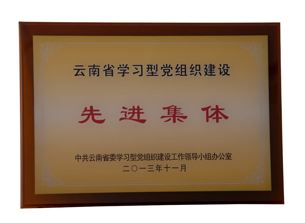 云南省學習型黨組織建設(shè)先進集體