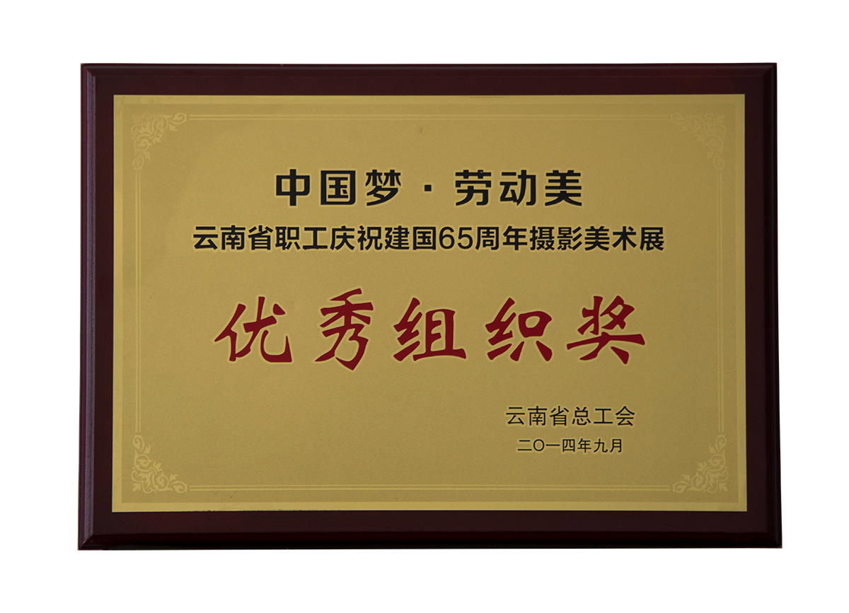 優(yōu)秀組織獎(jiǎng)（建國65周年攝影美術(shù)展）